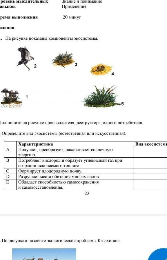 Сор по Естествознание 5 класс 4 четверть 2 сор. Сор по естествознанию 5 класс 4 четверть. Соч по естествознанию 5 класс 2 четверть. Сор 1 по естествознанию 5 класс 4 четверть. Сор соч 5 класс