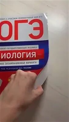 Рохлов 2024