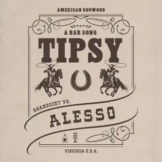 Bar song tipsy