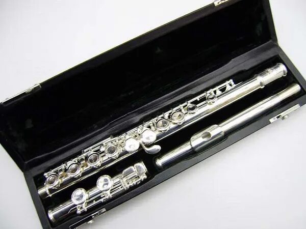 Флейта пикколо музыкальный инструмент. Флейта j. Michael 3710. Michael fl-380se. Флейта j michael.