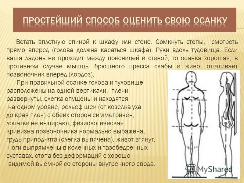 Искривление позвоночника к какому врачу обращаться. Кулак проходит между спиной и стеной. Кулак проходит между спиной и стеной. Проверка осанки у стены. Тест на осанку.