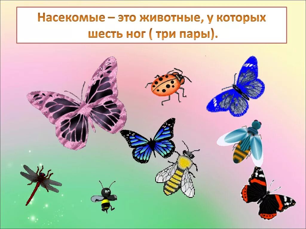 Насекомые урок 1 классе. Насекомые 1 класс окружающий мир. Насекомые презентация. Тема урока насекомые. Презентация насекомые 1 класс.