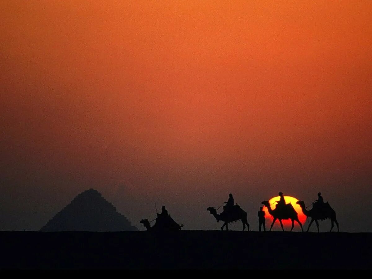 Небо караван. Верблюд на закате. Пустыня Караван верблюдов на закате. Закат в пустыне. Караван в пустыне.