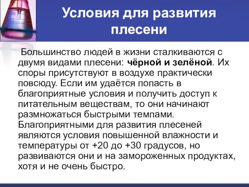 Известно что для развития плесени. Условия для развития плесени. Условия возникновения плесени. Условия появления и развития плесени. Условия появления плесени.