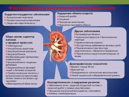 Фактор риска развития хронической болезни почек