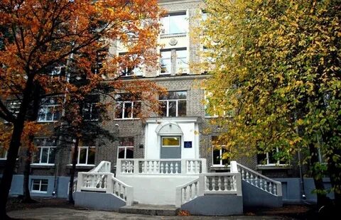 Школа 438
