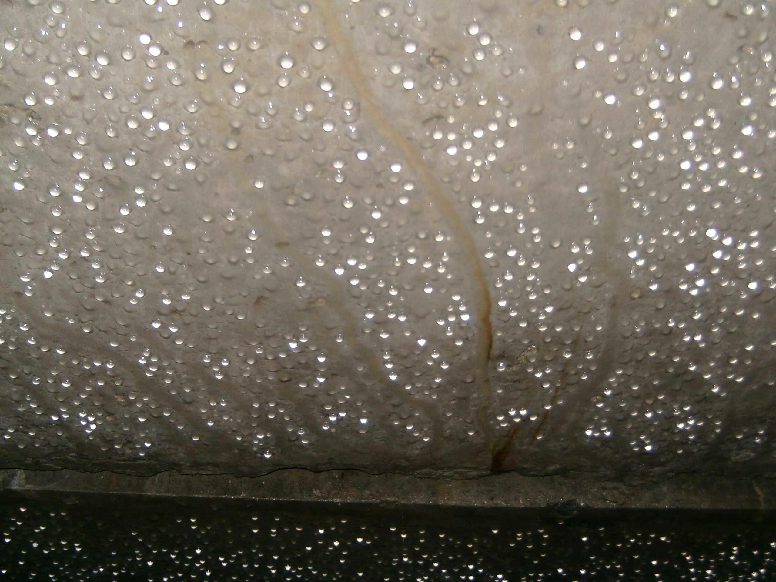 Запах влажности