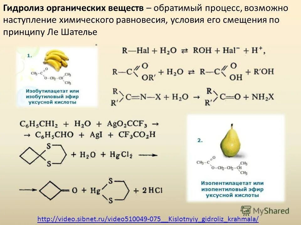 Молекулярно ионном виде гидролиз. Гидролиз процесс обратимый. Гидролиз органических веществ.