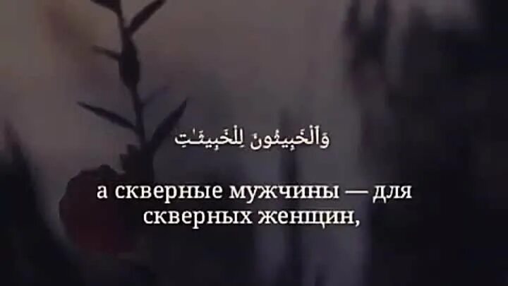 Праведные для праведных скверные для скверных. Верующие для верующих скверные для скверных. Скверные женщины для скверных мужчин. Хорошие для хороших аят. Хорошие для хороших скверные для скверных аят.