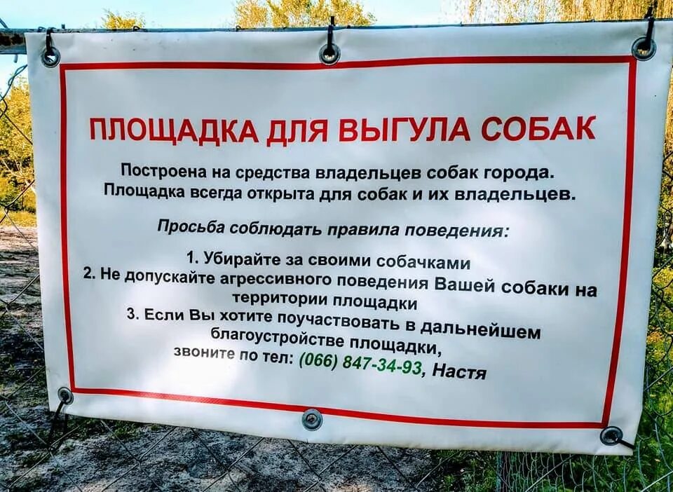 Выгул собак в общественном месте. Информационный стенд площадка для выгула собак. информационная табличка для выгула собак. информационная табличка на площадке для выгула собак. таблички на площадку для выгула собаклощадке.