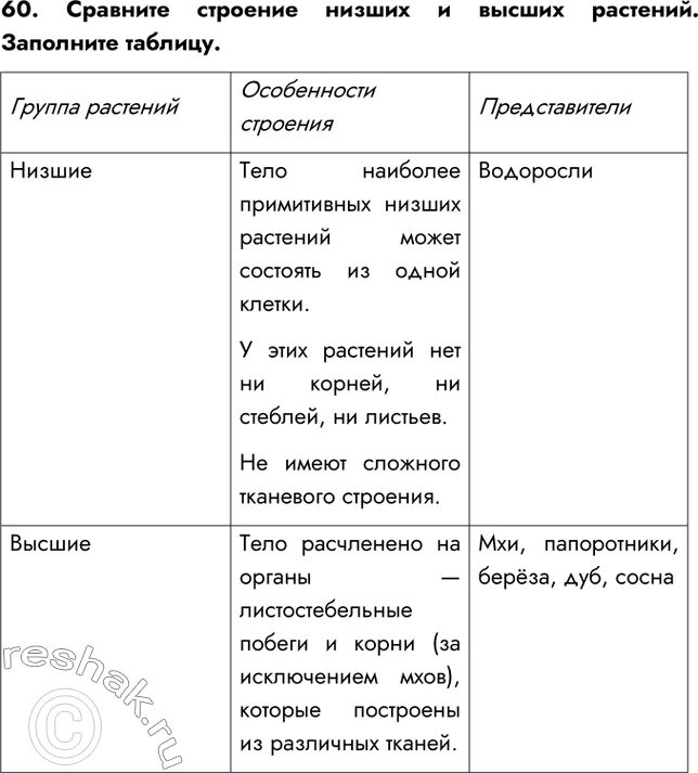 Особенности строения высших растений 6 класс. Особенности строения высших растений. строение низших и высших растений заполните таблицу. характеристика высших и низших растений. сравните строение низших и высших растений.