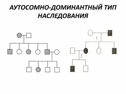 Аутосомно доминантная схема