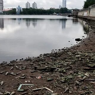 Москва грязная вода