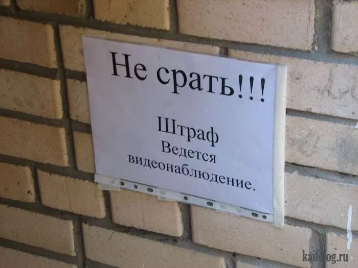 Сегодня какал сильно тужился из попы песня. Картинка хватит какать. Не срать не срать не срать Мем.