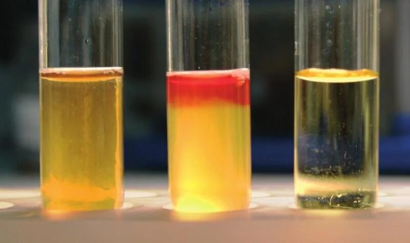 Реакция антиген антитело реакции преципитации. Как определить уксусную кислоту качественная реакция. Рп преципитации составляющие реакции. Взаимодействие карбоната с кисллото. Мерная пробирка.