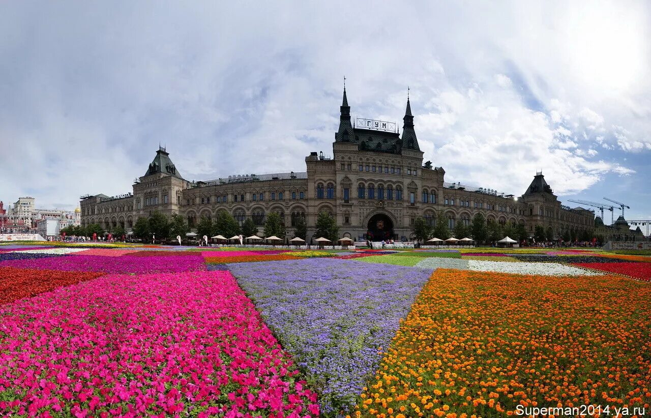 Цветы пл. Цветочная площадь. Москва красная площадь цветы. Цветы на красной площади. Бельгия цветов на площади.