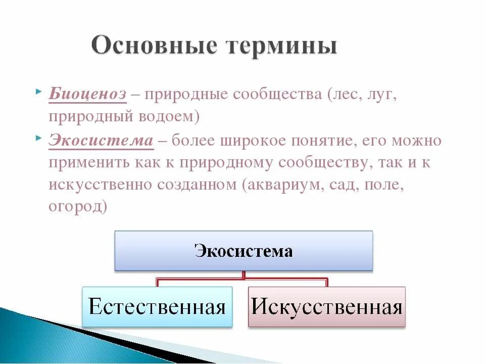Природа и его структура. Структура экологической системы. Природа и его структура. Структура экосистемы. Природа и его структура.