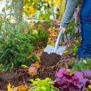 Удобрения для посадки овощей