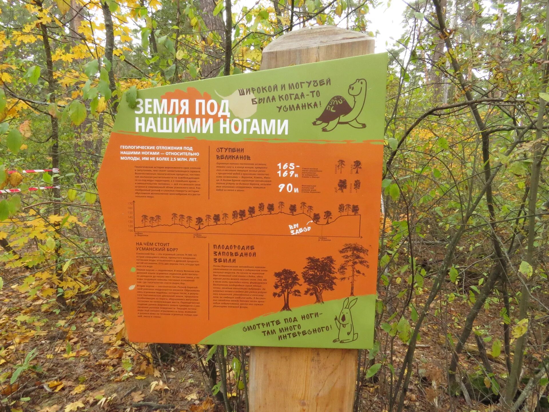 Программу заповедник. Экотропа воронеж биосферный заповедник. воронежский биосферный заповедник экологические тропы. экотропа черепахинская воронежский заповедник. эко тропа воронежский заповедник.