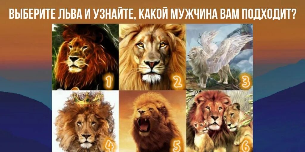 Психологический тест со львом. Тест со львом для мужчин. Какой цвет подходит львам. Какой ты сегодня Лев.