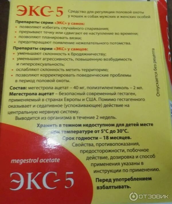 Phoenix cs go. Цимицифуга экстракт. Авз экс-5т для собак и кошек таблетки (угнетение половой охоты). Экс таблетки для кошек. Экс бб аншлаг.