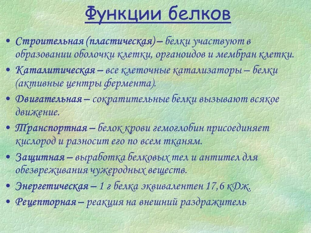 Список функций белков. Функции белков. Функции белков в клеткк. Белки функции.