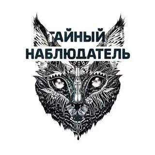Тайный наблюдатель скрипова