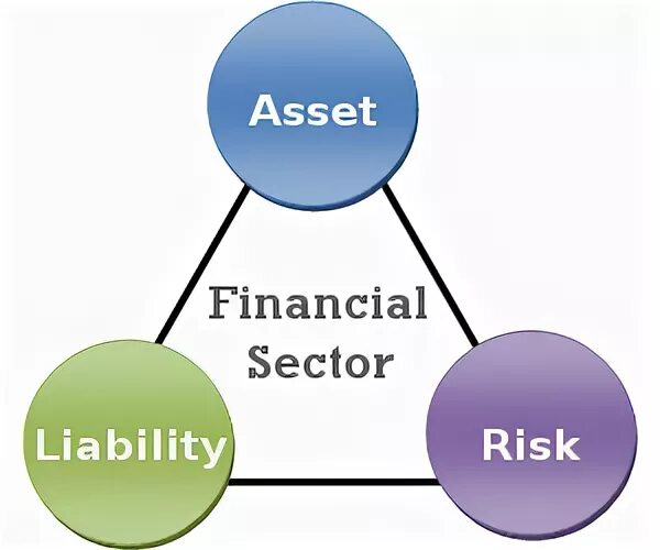 Asset pdf