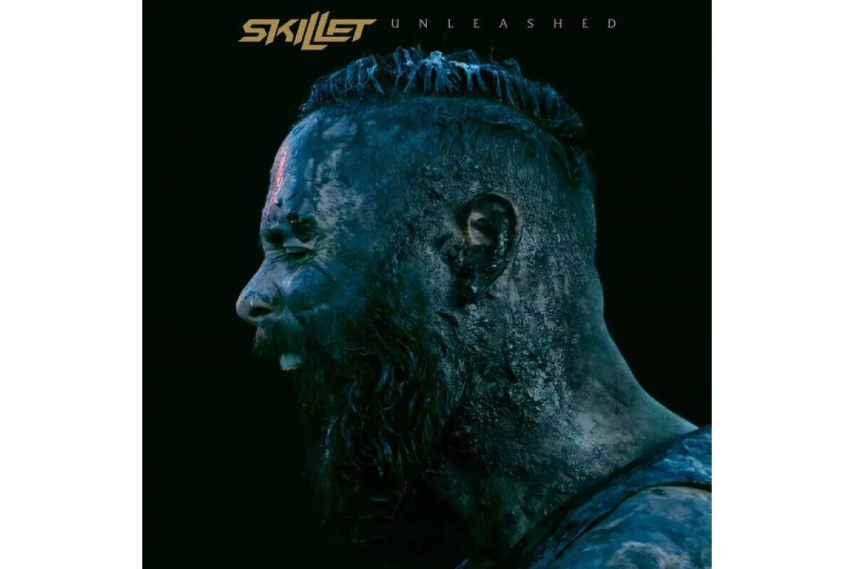 Feel invincible текст. Skillet unleashed. Skillet Beyond. Skillet feel Invincible.