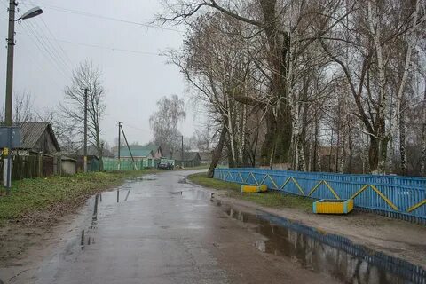 Тихоновичи село