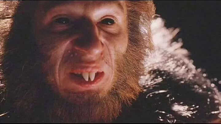 Человек-крыса фильм 1987. Как называется человек крыса. Крысиное поведение человека. Цитаты про крыс. Как называется человек крыса.