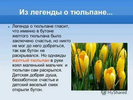 1 тюл вый претерп вающий