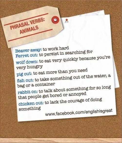 I have been working very hard. Phrasal verbs for animals. Идиома английский to work very hard. Phrasal verbs with animals. Work away перевод.
