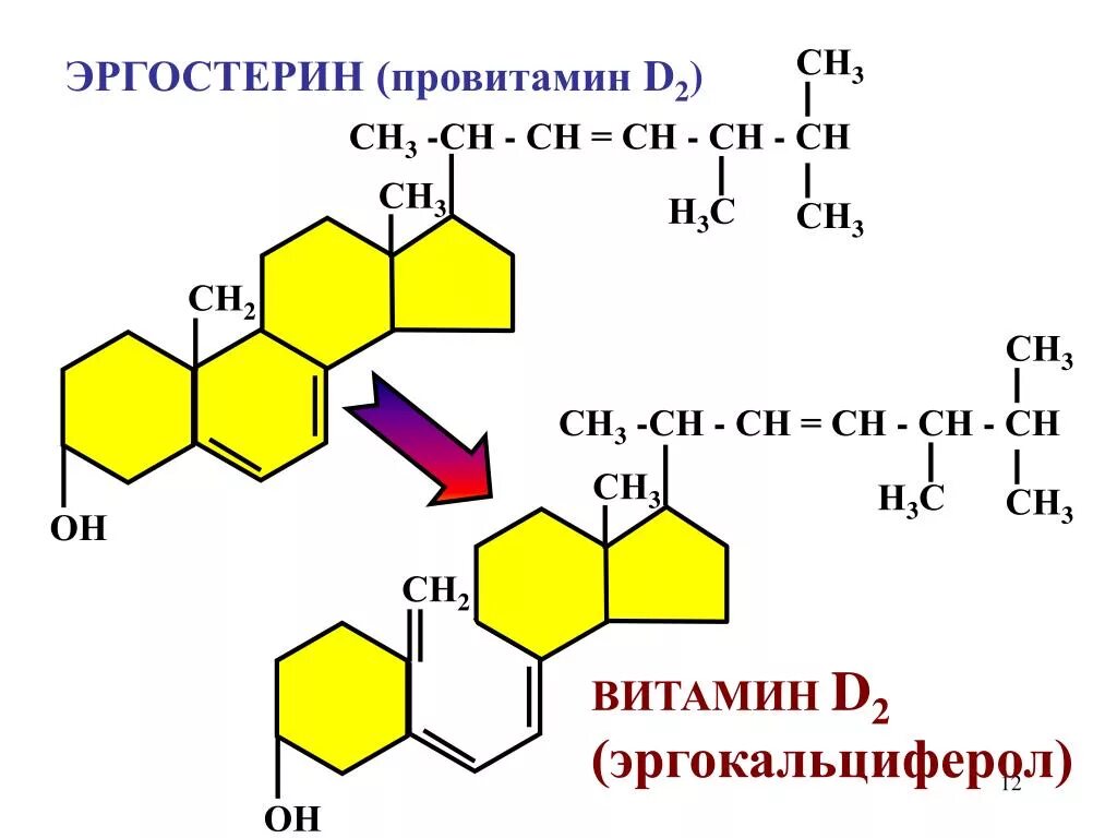 Синтез витамина д3 из холестерина биохимия. 7 Дегидрохолестерин формула. Биороль эргостерина. Эргостерин эргокальциферол.