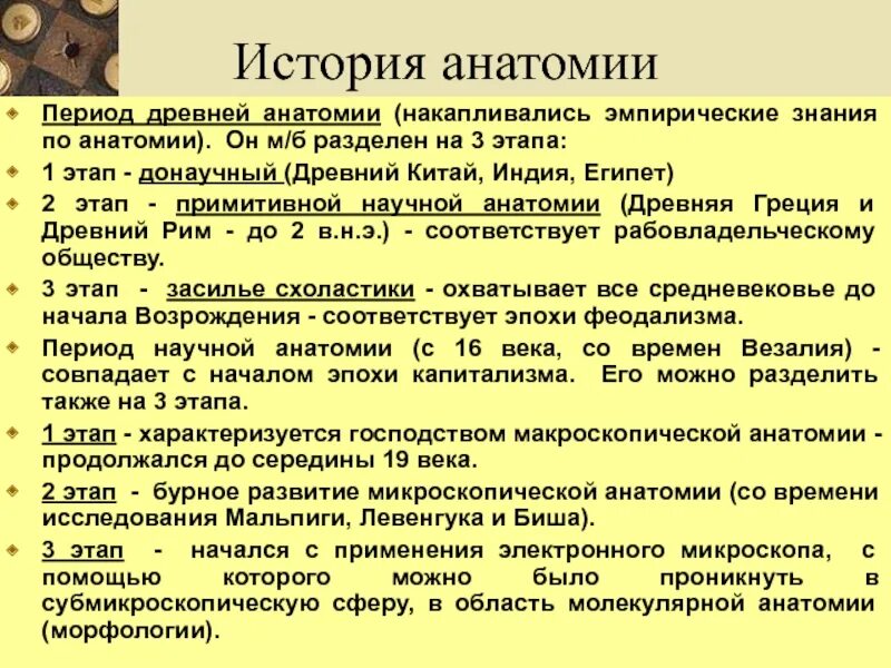 Периоды развития анатомии. История развития анатомии. Краткий исторический очерк развития анатомии. История развития анатомии кратко.