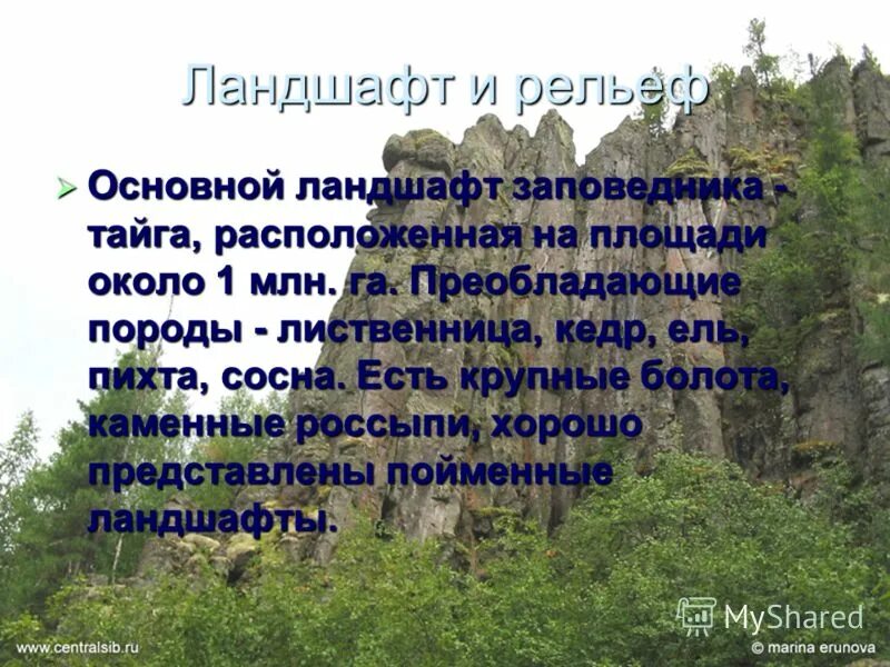 Какой заповедник находится в тайге. Какой заповедник находится в тайге. Какой заповедник находится в тайге. Южнотаёжный заказник. Заповедники северной тайги.