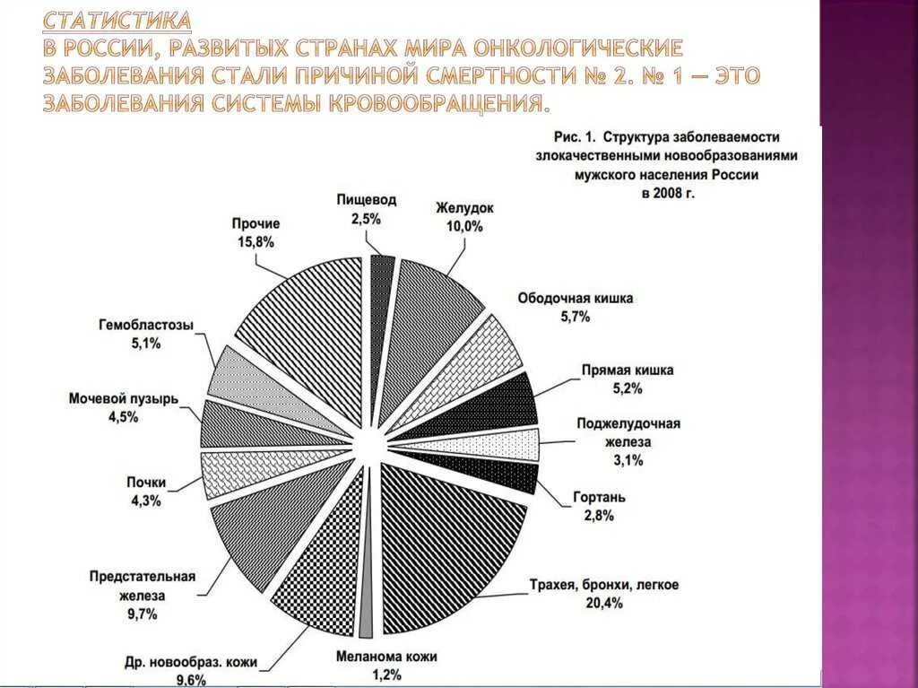 Опухоли статистика. Диаграмма онкологических заболеваний. Структура онкологических заболеваний 2021. Структура онкологических заболеваний в России 2020.