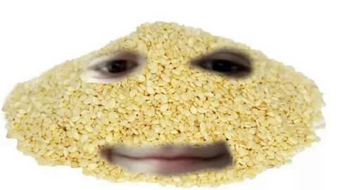 Кунжут собака