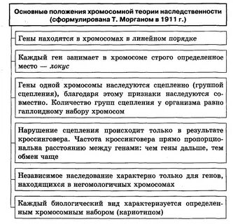 Положения теории наследственности