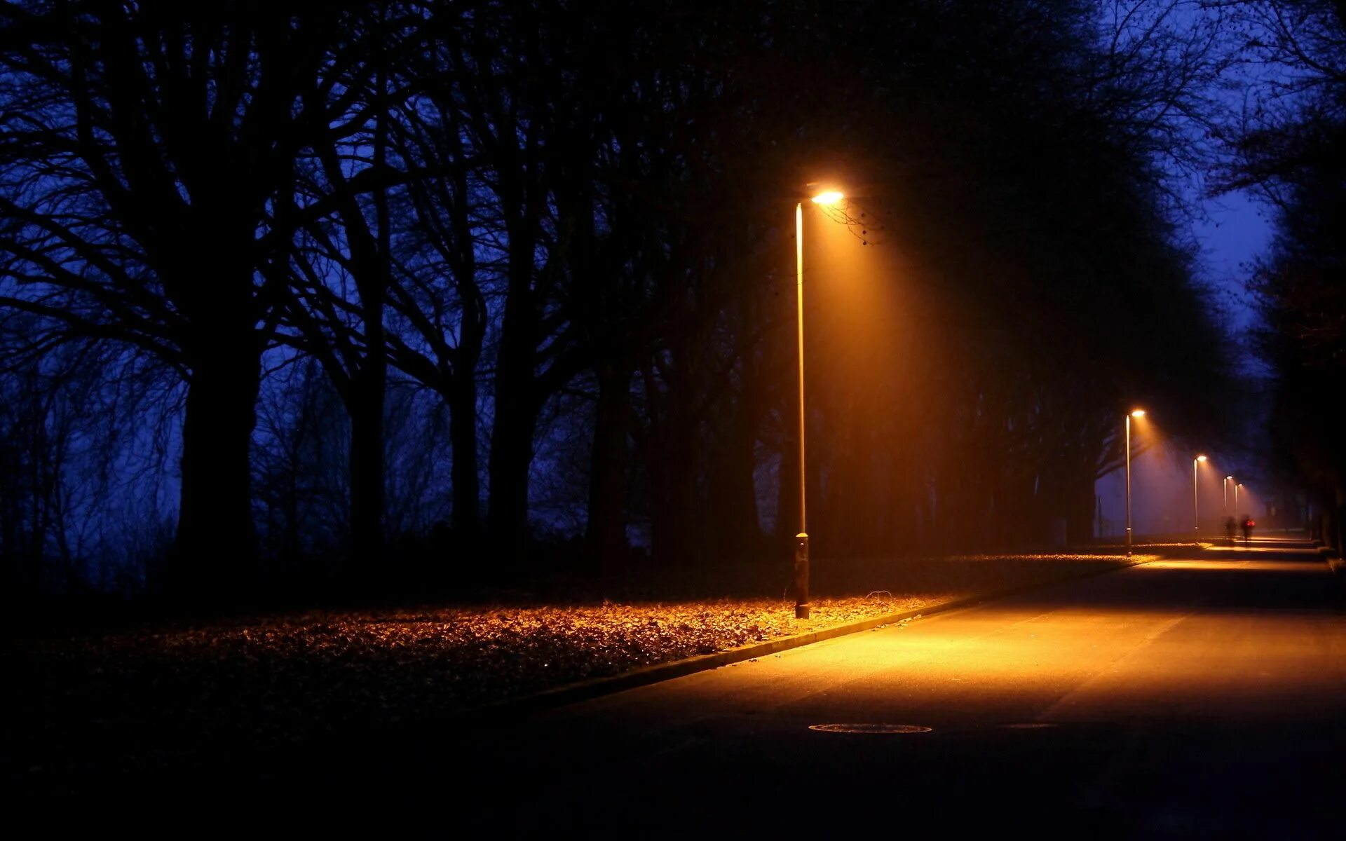 Сутки на пролет. Ночная улица с фонарями. Фонарь ночью. Уличный фонарь ночью. Ночной парк с фонарями.