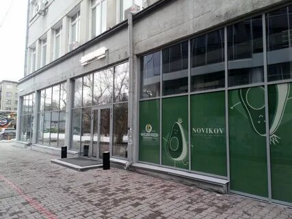 Авокадо новосибирск