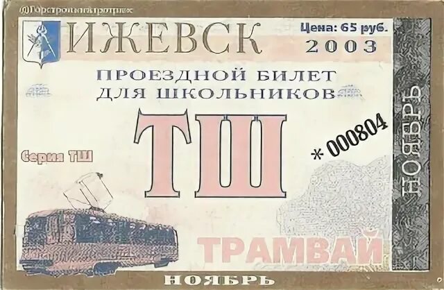 Билеты ижевск питер