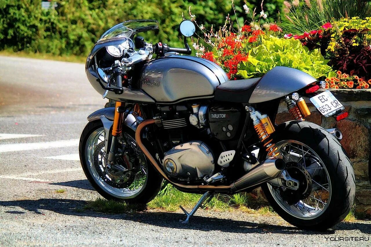 Триумф тракстон. Мотоцикл триумф тракстон. triumph thruxton 900 2009. triumph thruxton 2025. triumph thruxton 2009 года выпуска.