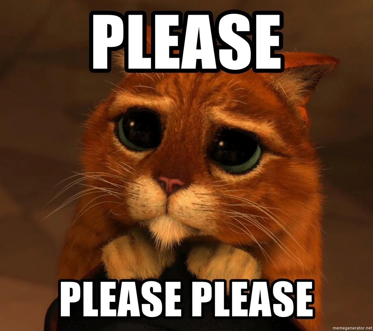 Please give me this. Котик пожалуйста. Плиз. Пожалуйста картинки. Котик из Шрека.