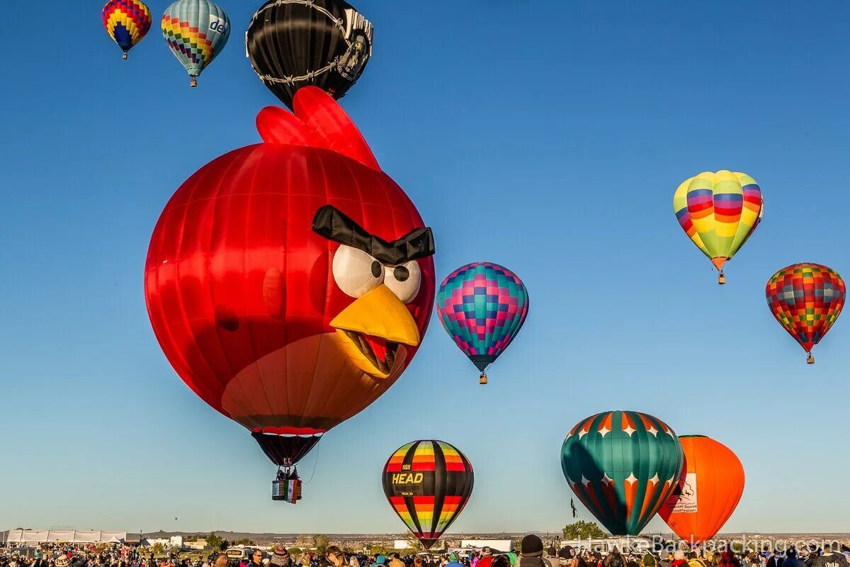 Где есть воздушные шары. Фестиваль воздушных шаров в Альбукерке. Albuquerque International Balloon Fiesta фестиваль. Фестиваль воздушных шаров в Альбукерке США. Фестиваль воздушных шаров в Нью-Мексико.