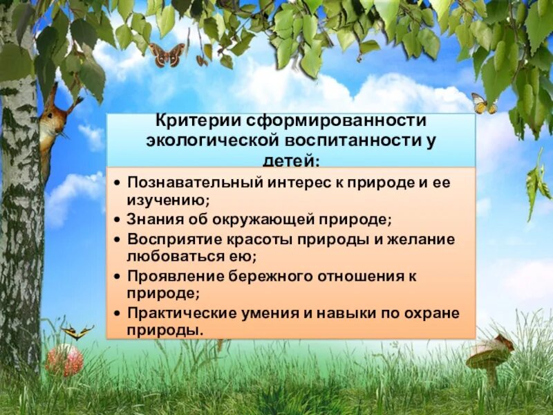 Критерии экологической воспитанности. Критерии и показатели экологического воспитания. Критерии сформированности экологической воспитанности. Критерии сформированности экологической воспитанности детей.