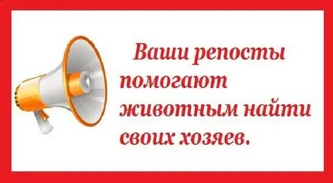Сделай перепост