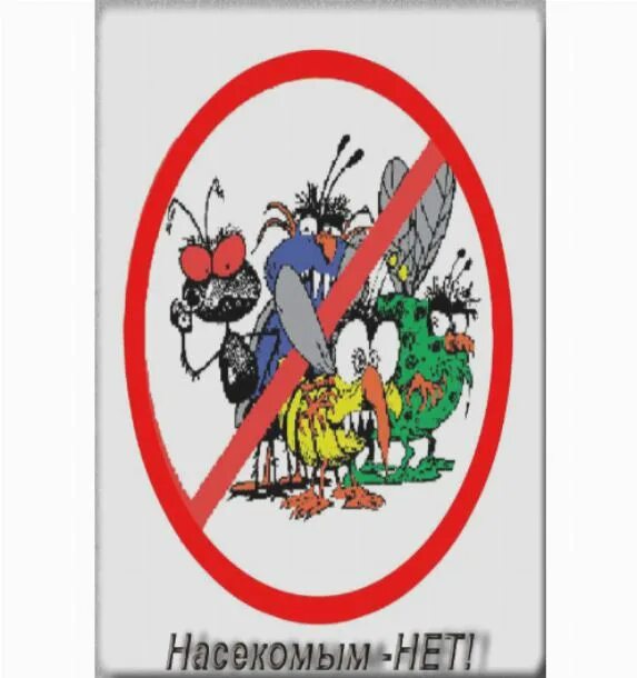 жуки пожарники-солдатики. богомол охотится. выбери тех насекомых которых знаешь. строение насекомого стрекоза императорский дозорщик. клопы солдатики спасаются.