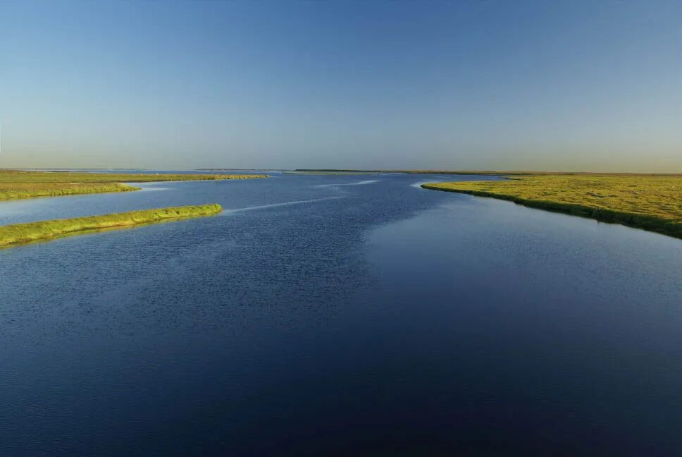 Реки бывают горные и равнинные. Ошибки в образовании формы слова примеры. Какая река больше волга или обь. Около пятиста метров. Устье реки яна.
