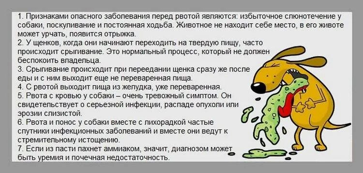 Почему тошнит и что делать